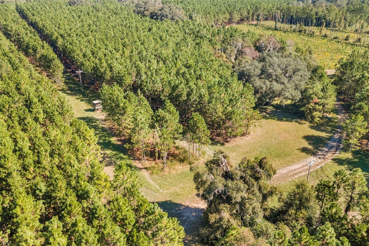 21400 NW County Road 235a, Alachua, FL 32615 Photo