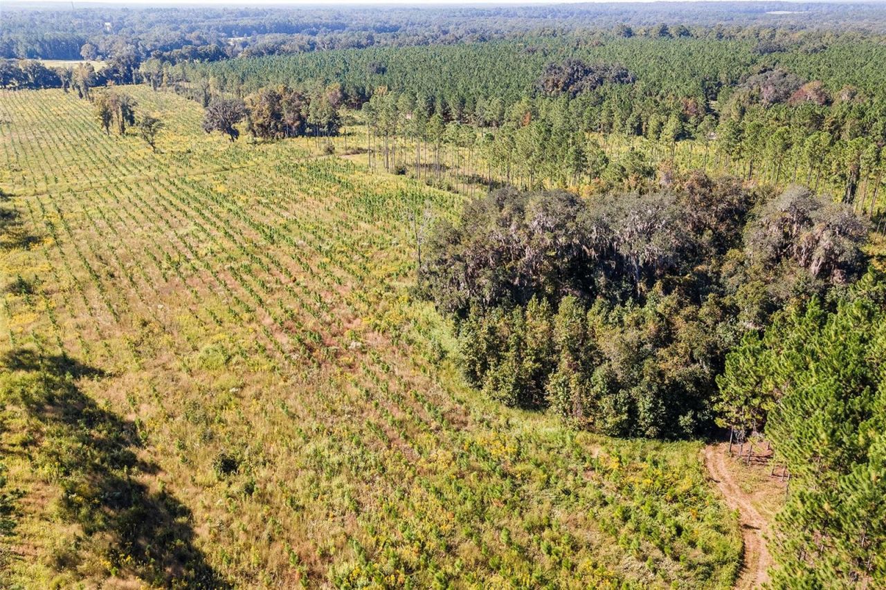 21400 NW County Road 235a, Alachua, FL 32615 Photo