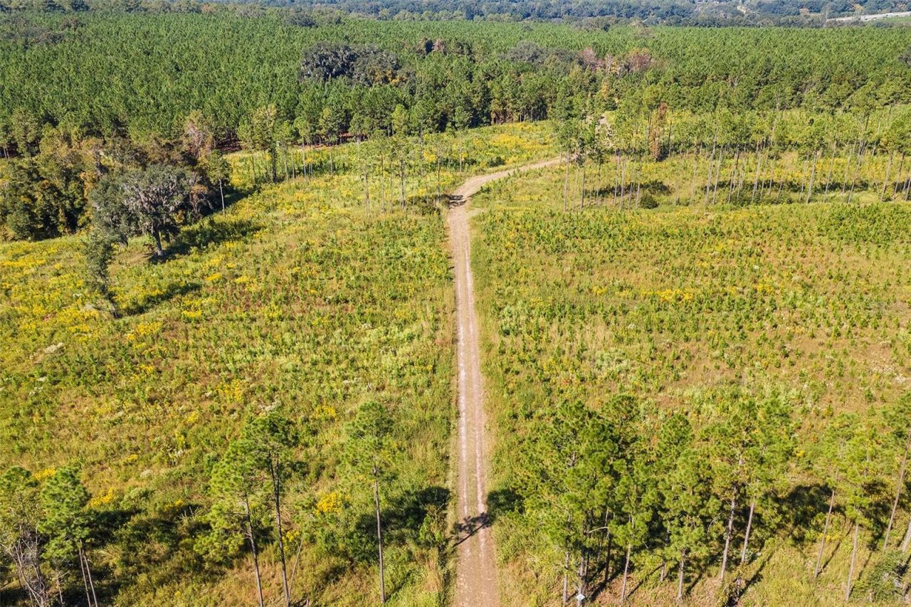 21400 NW County Road 235a, Alachua, FL 32615 Photo