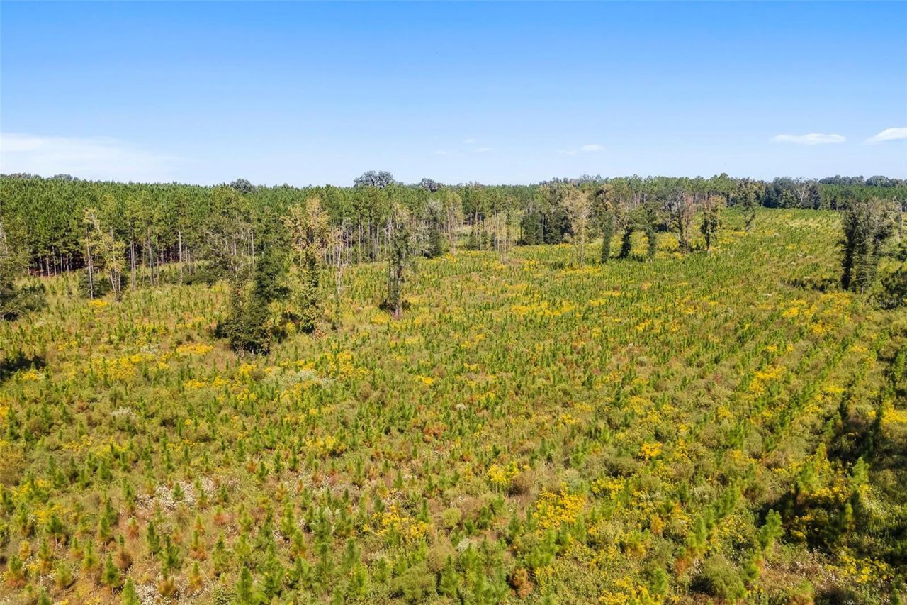 21400 NW County Road 235a, Alachua, FL 32615 Photo