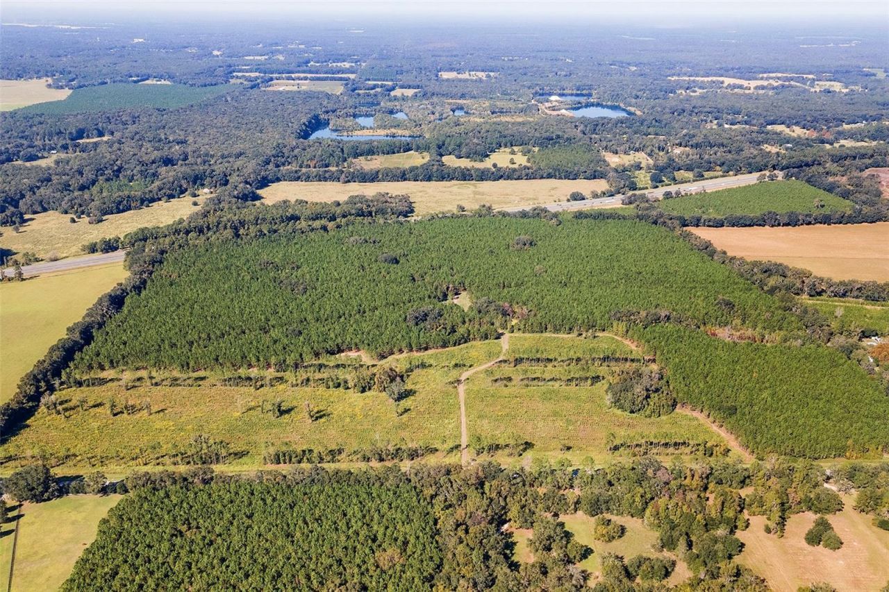 21400 NW County Road 235a, Alachua, FL 32615 Photo