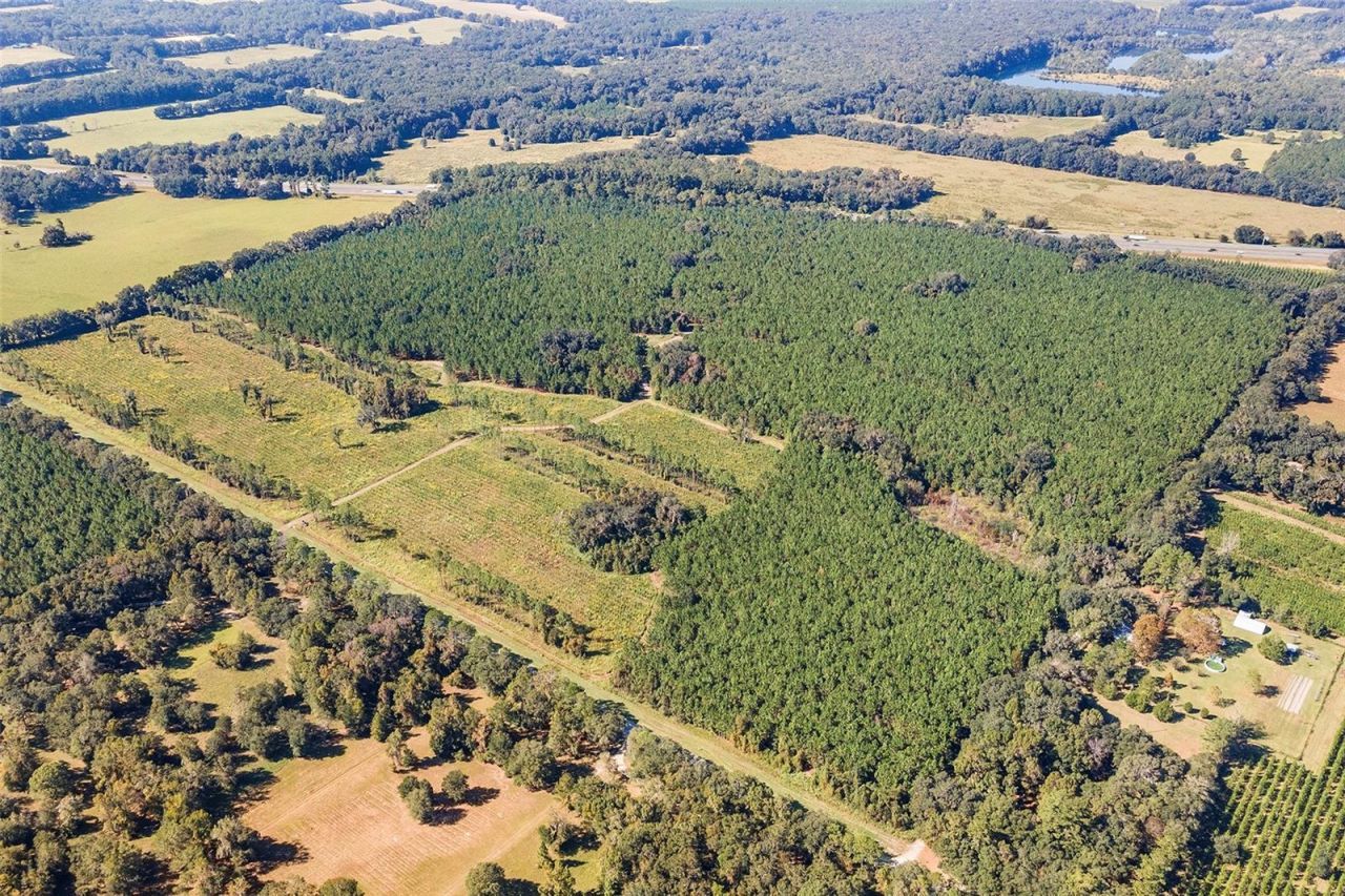 21400 NW County Road 235a, Alachua, FL 32615 Photo