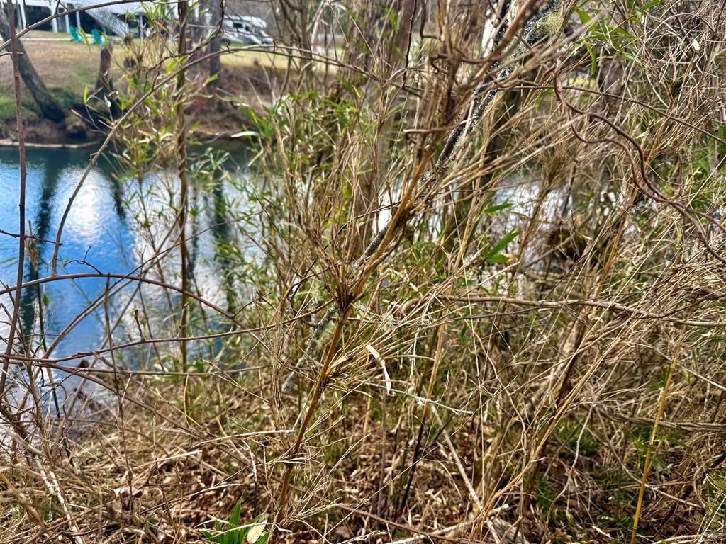 0 Butterball Boulevard, Murphy, NC 28906 Main Photo