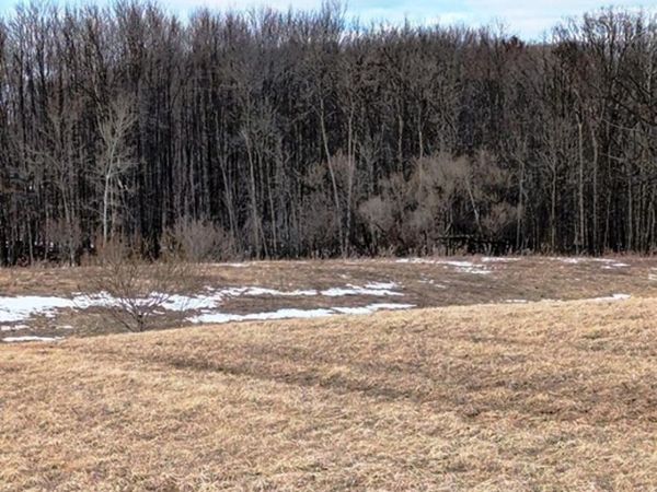 Sec 11 CROW ROAD, Willard, WI 54493