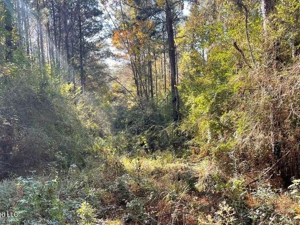 Delaware Avenue, McComb, MS 39648