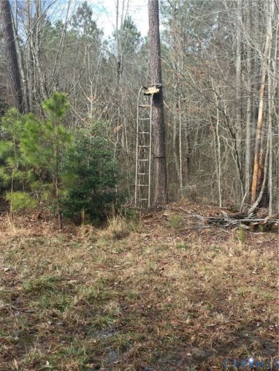 4101 Charles City Road, Henrico, VA 23231 Main Photo