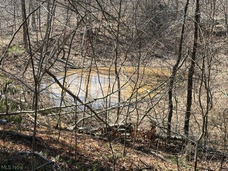 6410 Smith Run Road, Glouster, OH 45732 Photo 21