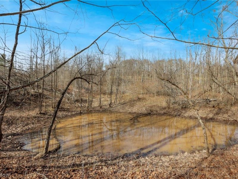 6410 Smith Run Road, Glouster, OH 45732 Photo 30