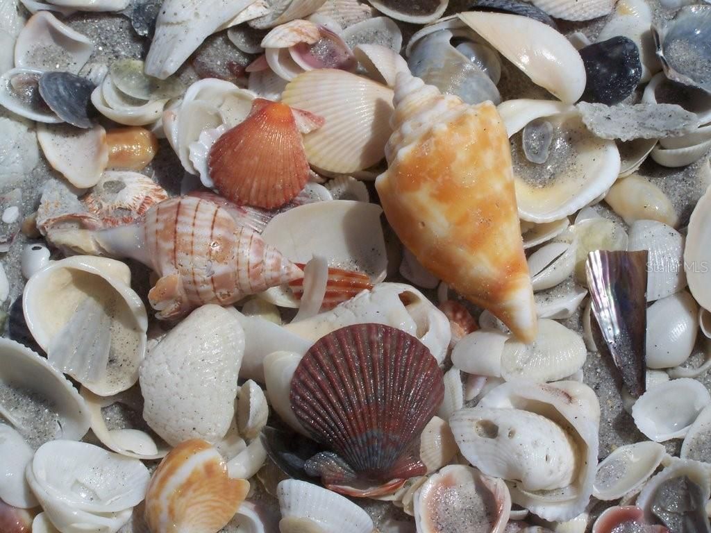 131 S Gulf Boulevard, Placida, FL 33946 Photo