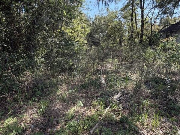 110 E MERCERS FERNERY ROAD , DELAND, FL 32724