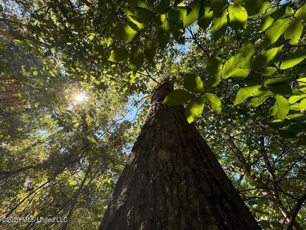 Delaware Avenue, McComb, MS 39648