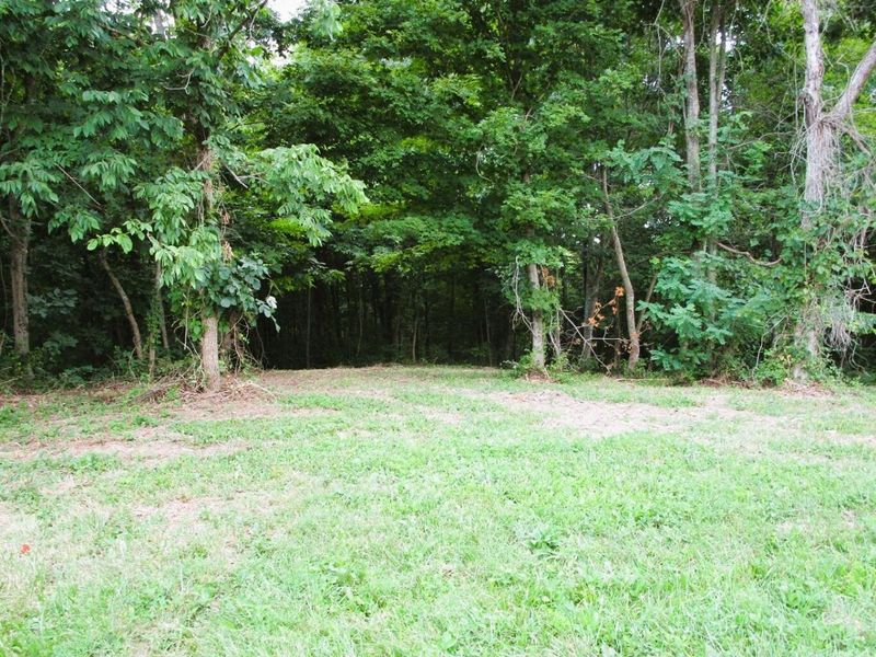 11.5 Ac Osborne Road, Dry Ridge, KY 41035 Photo 11