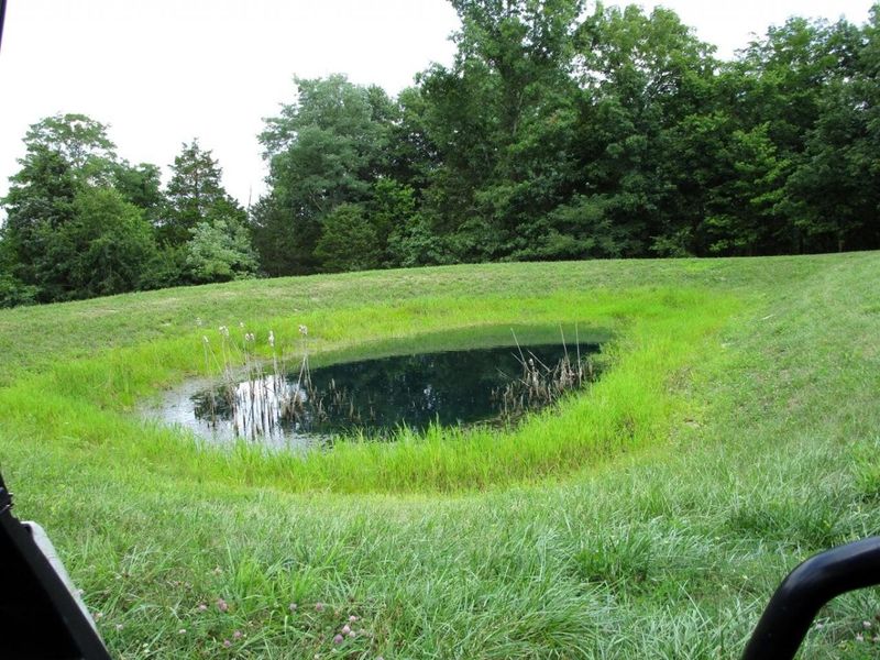 11.5 Ac Osborne Road, Dry Ridge, KY 41035 Photo 13