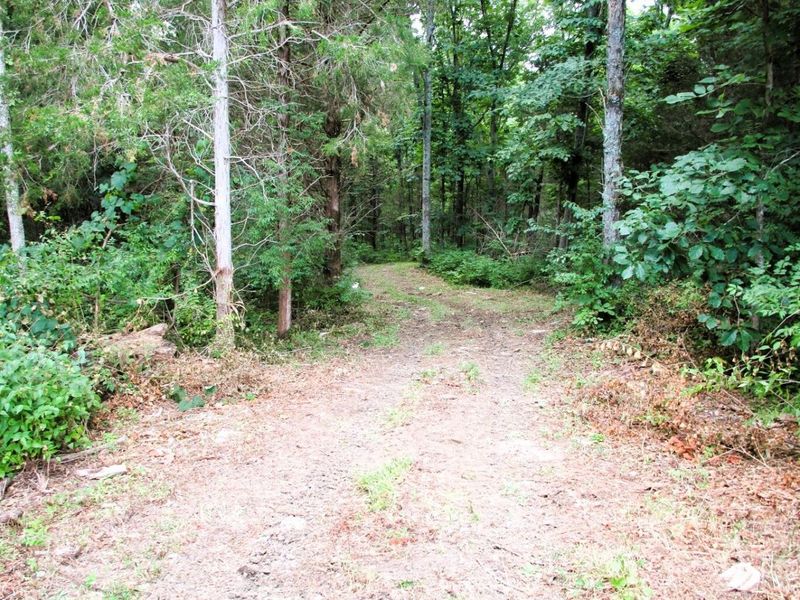11.5 Ac Osborne Road, Dry Ridge, KY 41035 Photo 14