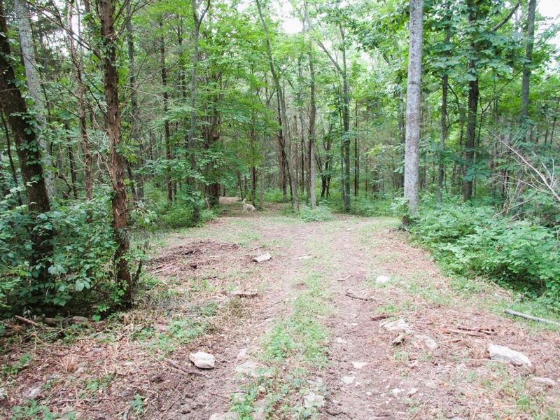 11.5 Ac Osborne Road, Dry Ridge, KY 41035 Photo 15