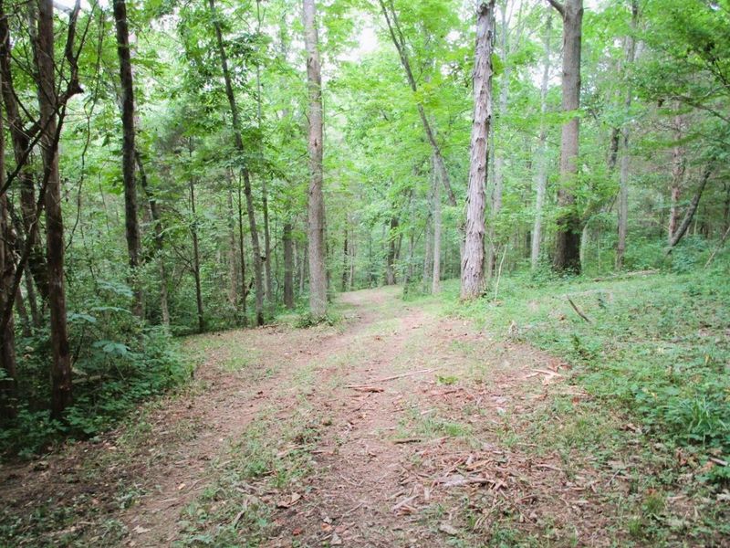 11.5 Ac Osborne Road, Dry Ridge, KY 41035 Photo 16