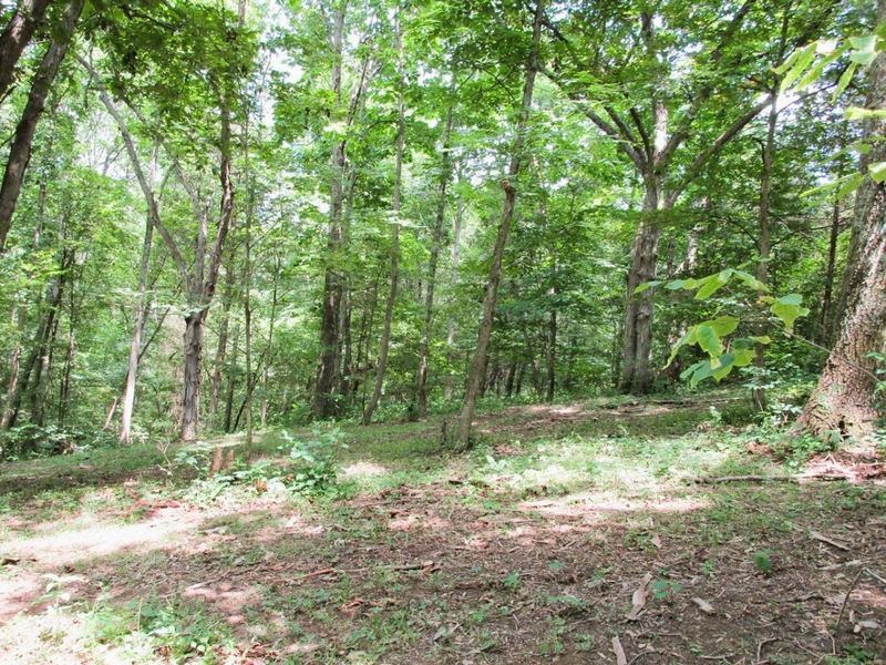 11.5 Ac Osborne Road, Dry Ridge, KY 41035 Photo 17