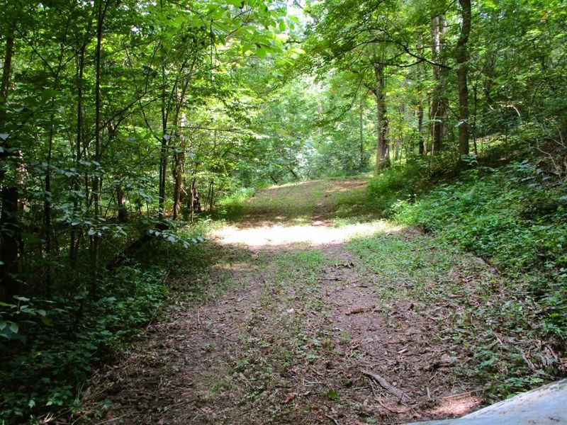 11.5 Ac Osborne Road, Dry Ridge, KY 41035 Photo 19