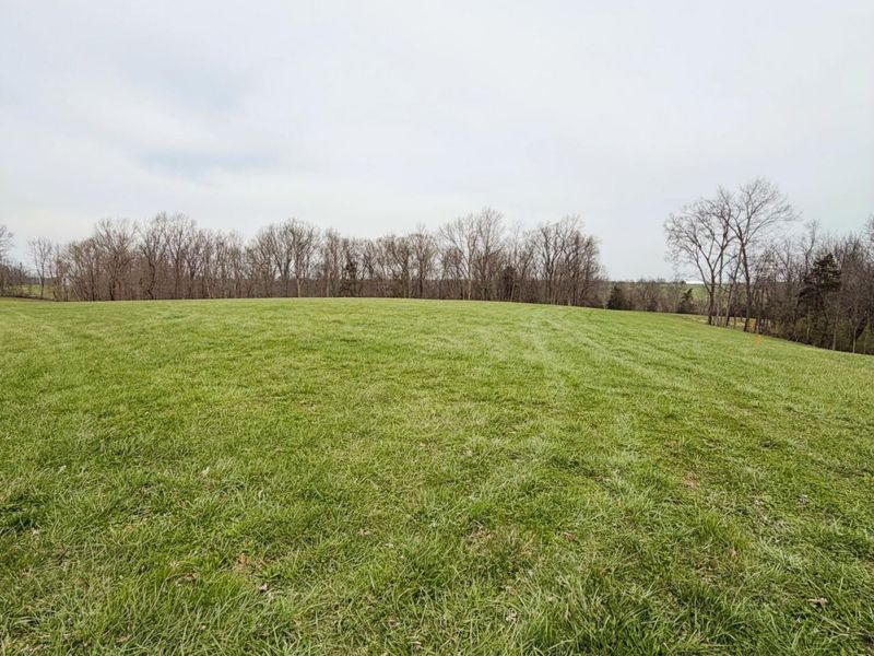 11.5 Ac Osborne Road, Dry Ridge, KY 41035 Photo 2