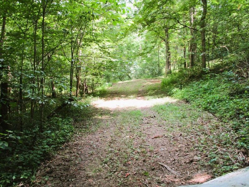 11.5 Ac Osborne Road, Dry Ridge, KY 41035 Photo 20