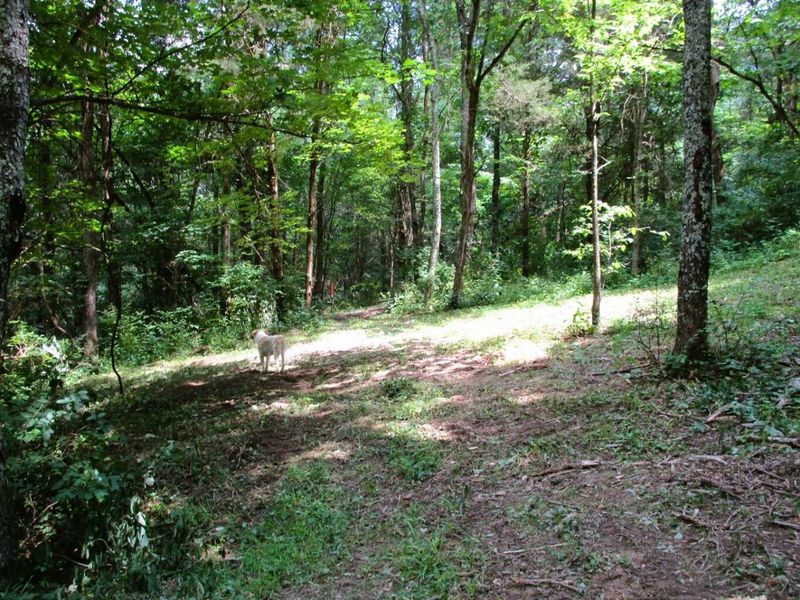 11.5 Ac Osborne Road, Dry Ridge, KY 41035 Photo 21