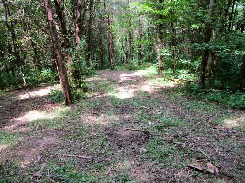 11.5 Ac Osborne Road, Dry Ridge, KY 41035 Photo 22