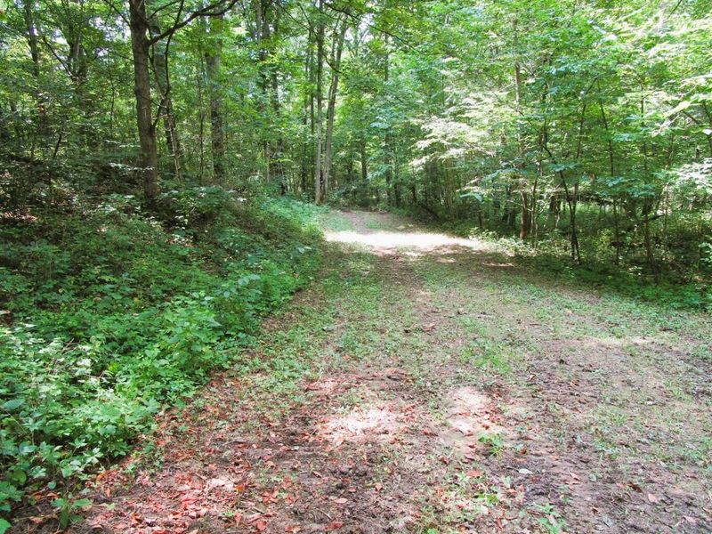 11.5 Ac Osborne Road, Dry Ridge, KY 41035 Photo 25