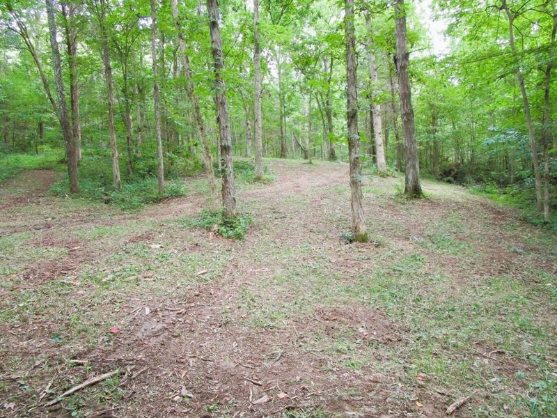 11.5 Ac Osborne Road, Dry Ridge, KY 41035 Photo 26