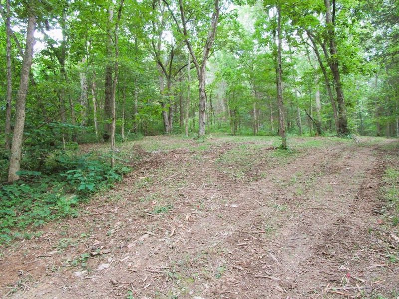 11.5 Ac Osborne Road, Dry Ridge, KY 41035 Photo 27