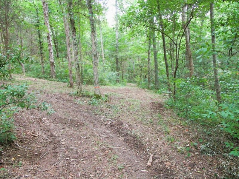 11.5 Ac Osborne Road, Dry Ridge, KY 41035 Photo 28