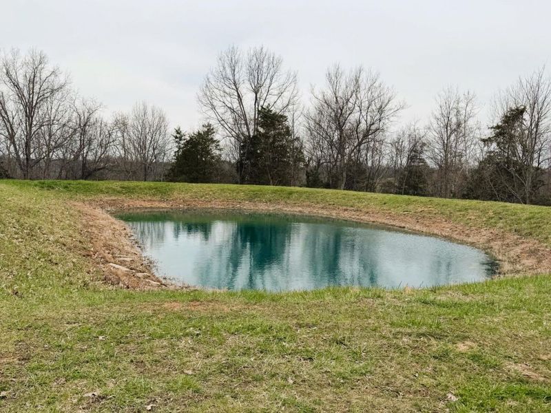 11.5 Ac Osborne Road, Dry Ridge, KY 41035 Photo 3