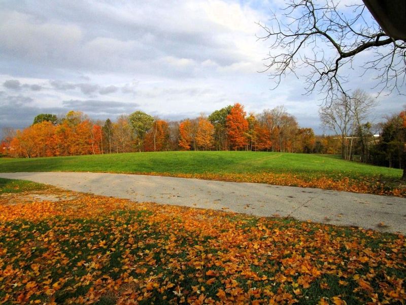 11.5 Ac Osborne Road, Dry Ridge, KY 41035 Photo 30
