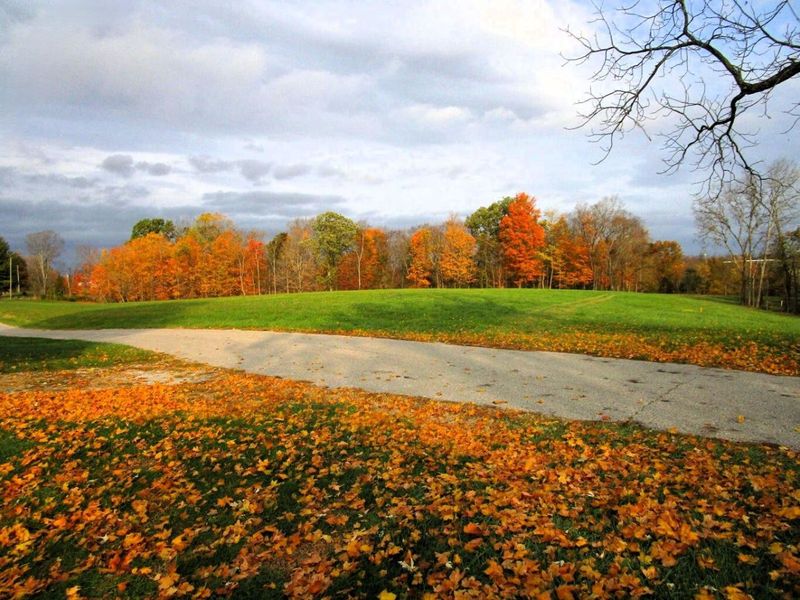 11.5 Ac Osborne Road, Dry Ridge, KY 41035 Photo 31