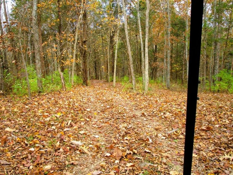 11.5 Ac Osborne Road, Dry Ridge, KY 41035 Photo 32