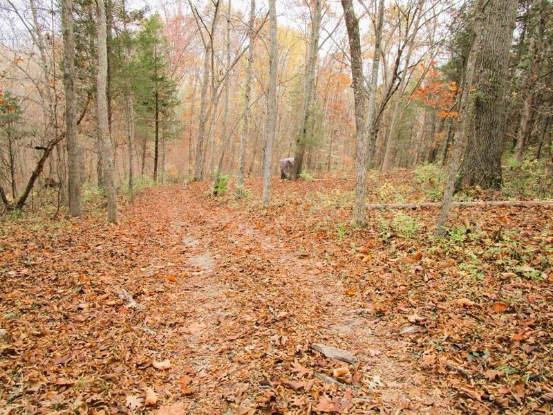 11.5 Ac Osborne Road, Dry Ridge, KY 41035 Photo 34