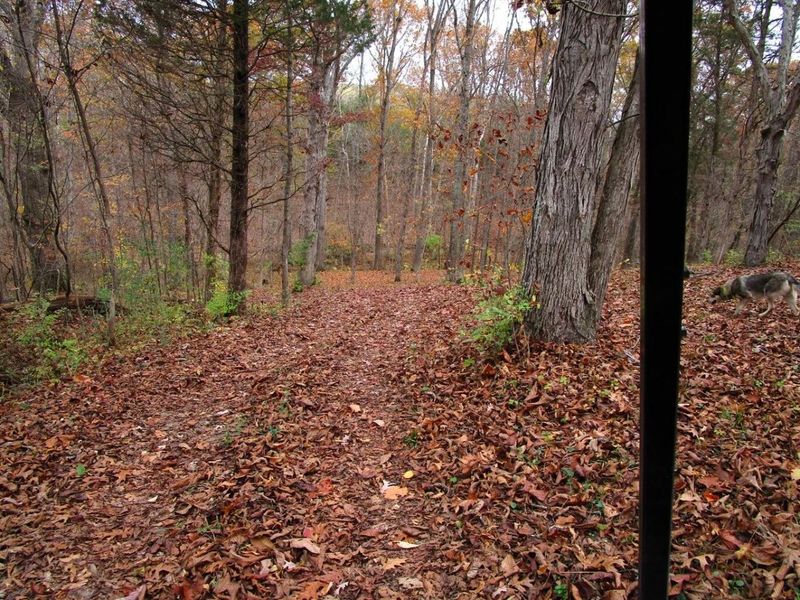 11.5 Ac Osborne Road, Dry Ridge, KY 41035 Photo 35