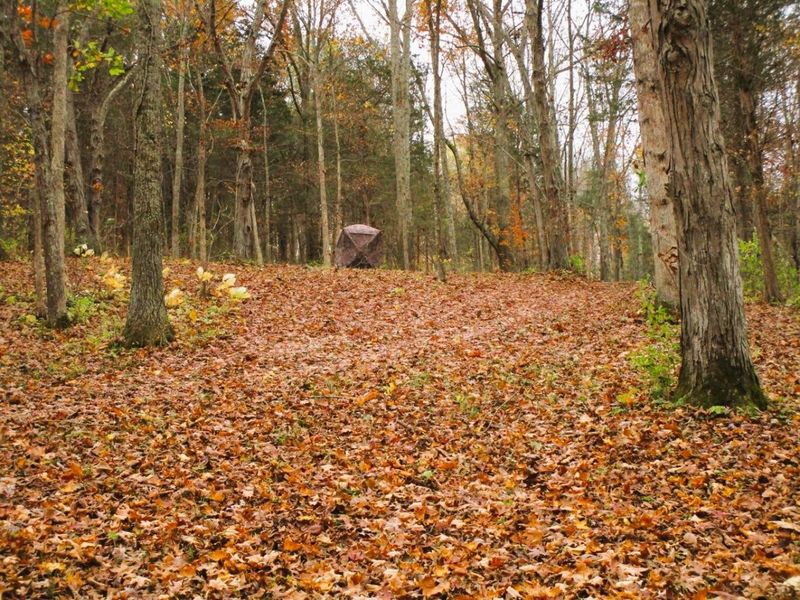 11.5 Ac Osborne Road, Dry Ridge, KY 41035 Photo 36