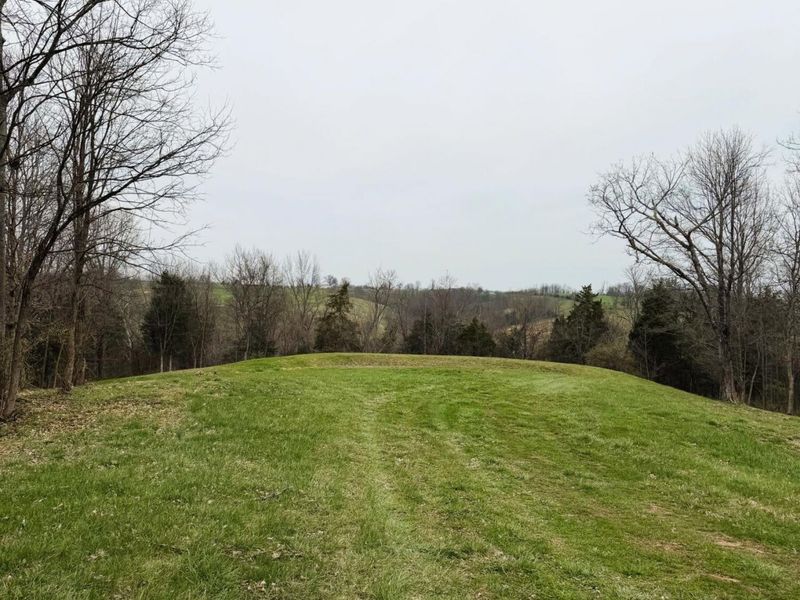 11.5 Ac Osborne Road, Dry Ridge, KY 41035 Photo 5