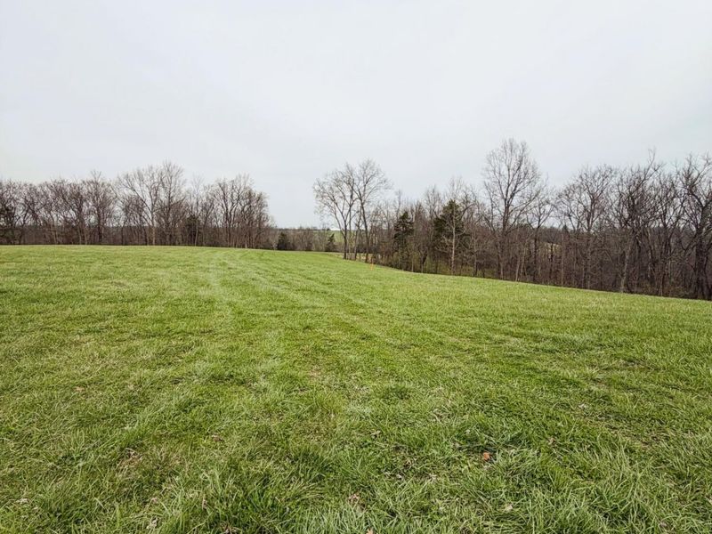 11.5 Ac Osborne Road, Dry Ridge, KY 41035 Photo 7
