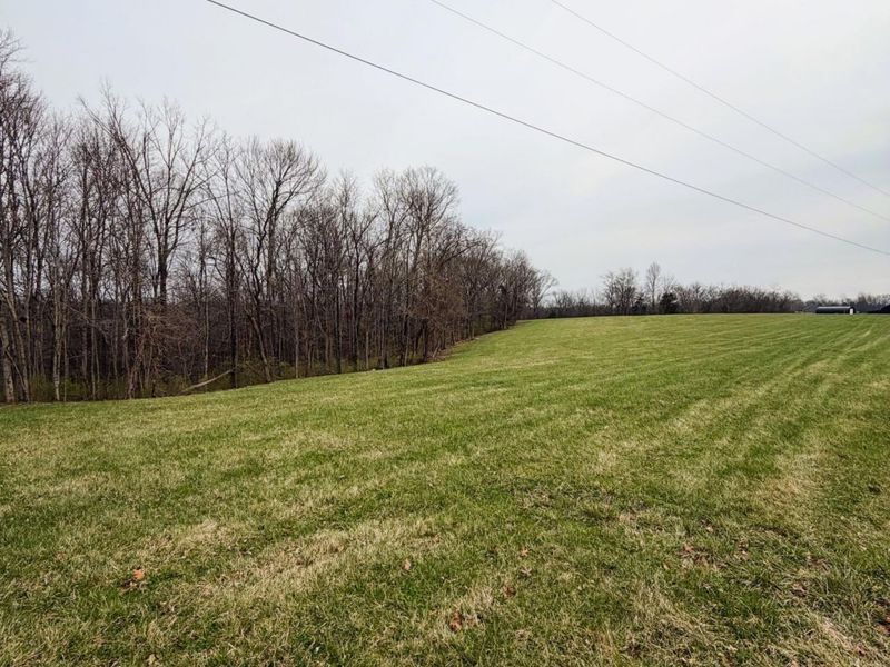 11.5 Ac Osborne Road, Dry Ridge, KY 41035 Photo 8