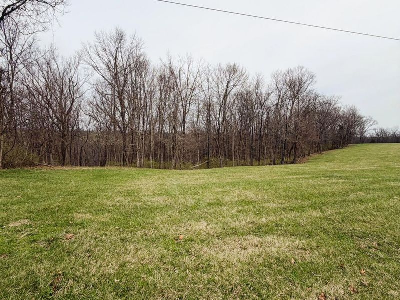11.5 Ac Osborne Road, Dry Ridge, KY 41035 Photo 9