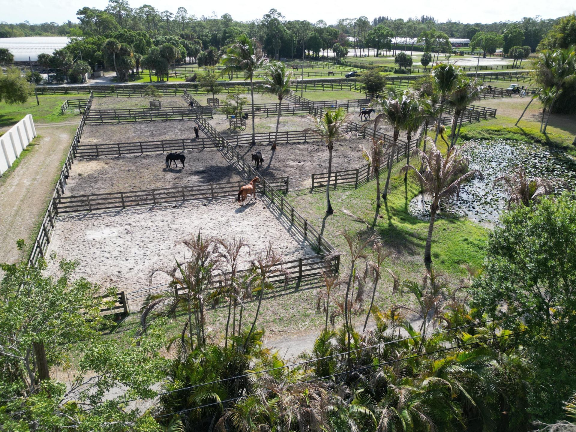 14523 Flamingo Road, Loxahatchee Groves, FL 33470 Photo