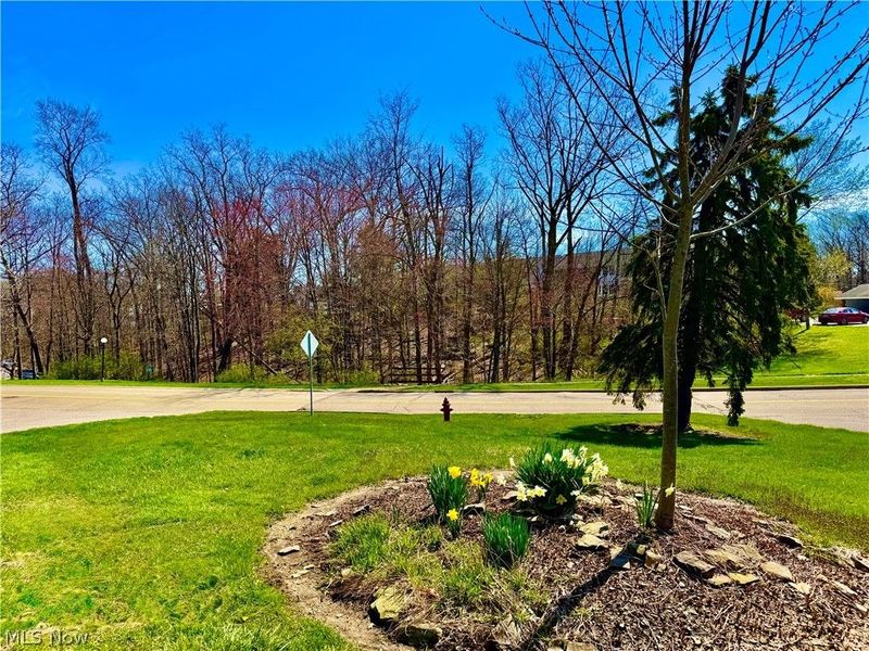 6910 Carriage Hill Drive, Unit 202, Brecksville, OH 44141 Photo 19