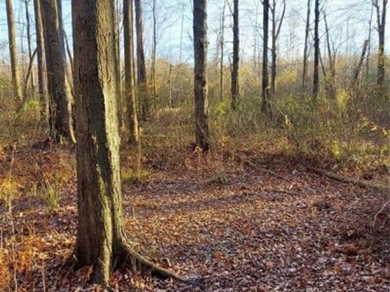 Magnolia Drive, Unit 4, Madison, OH 44057 Photo 6