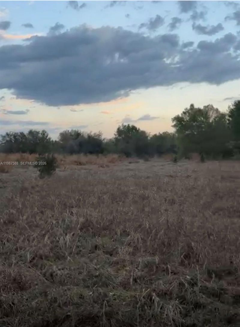 11200 S Jefferson Ave, Lake Placid, FL 33852 Photo