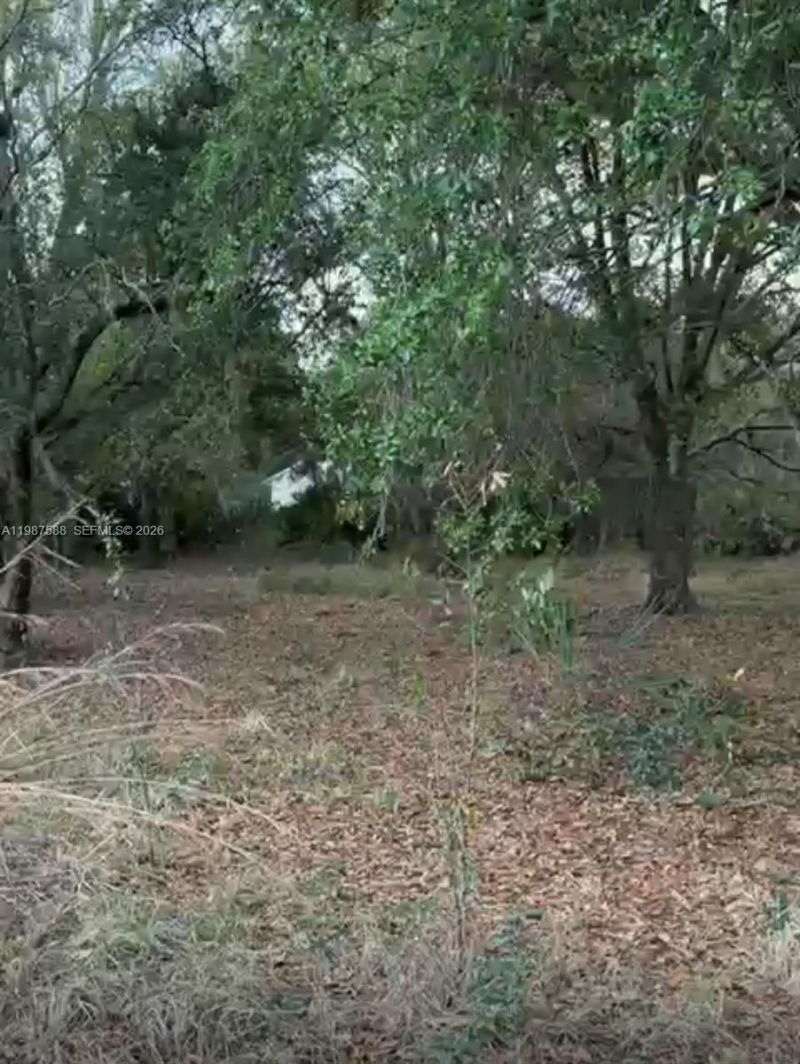 11200 S Jefferson Ave, Lake Placid, FL 33852 Photo