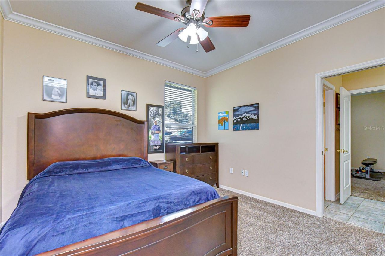 5104 Sylvan Oaks Drive , Valrico, FL 33596 Photo