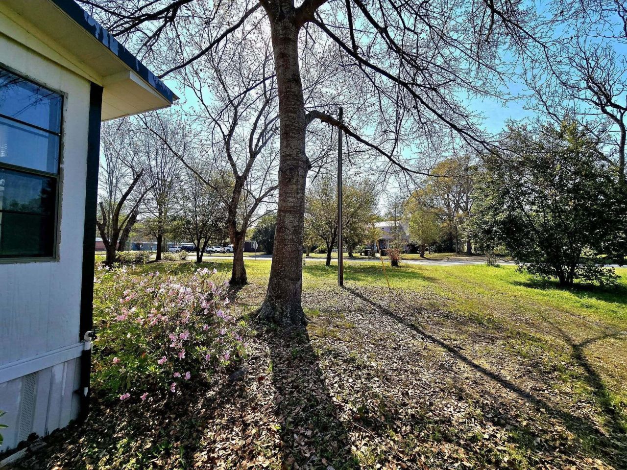 8510 Lodge Highway Photo 49