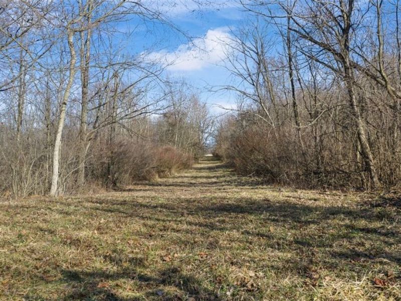 Gladdis Street SW, Massillon, OH 44647 Photo 7