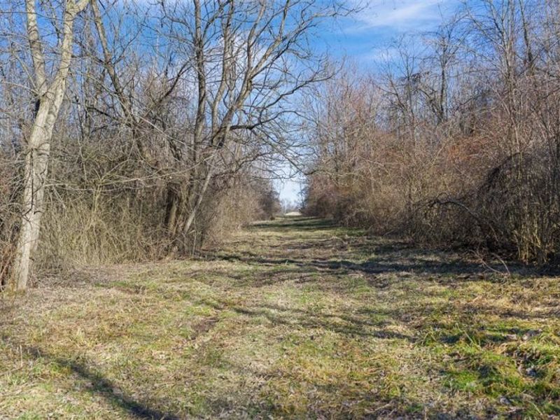 Gladdis Street SW, Massillon, OH 44647 Photo 8